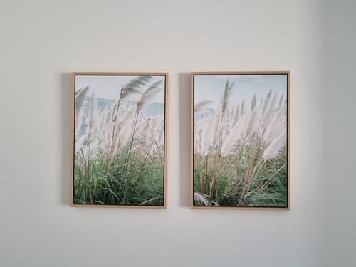 Customer photo review of Tufts in the Wind Duo