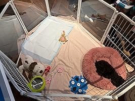 Customer photo review of FXW Pawadise Acrylic & Wire Mesh Indoor Dog Playpen