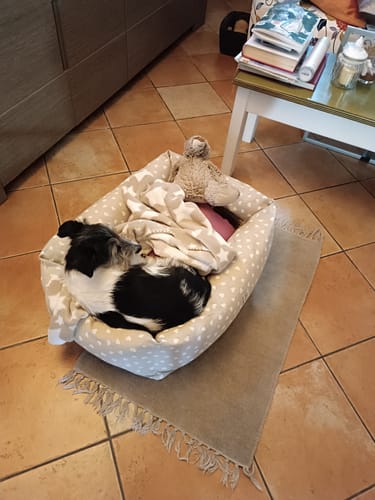 Customer photo review of Divanetto Cotone Panama Little Love Heart White