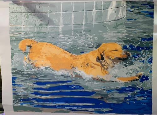 Customer photo review of Custom Pet Paint By Numbers