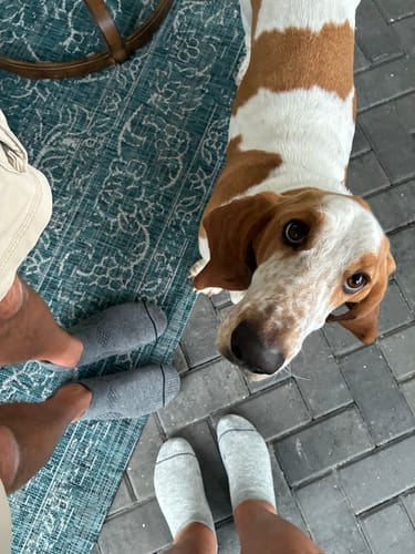 Customer photo review of Women's Wool Parasole