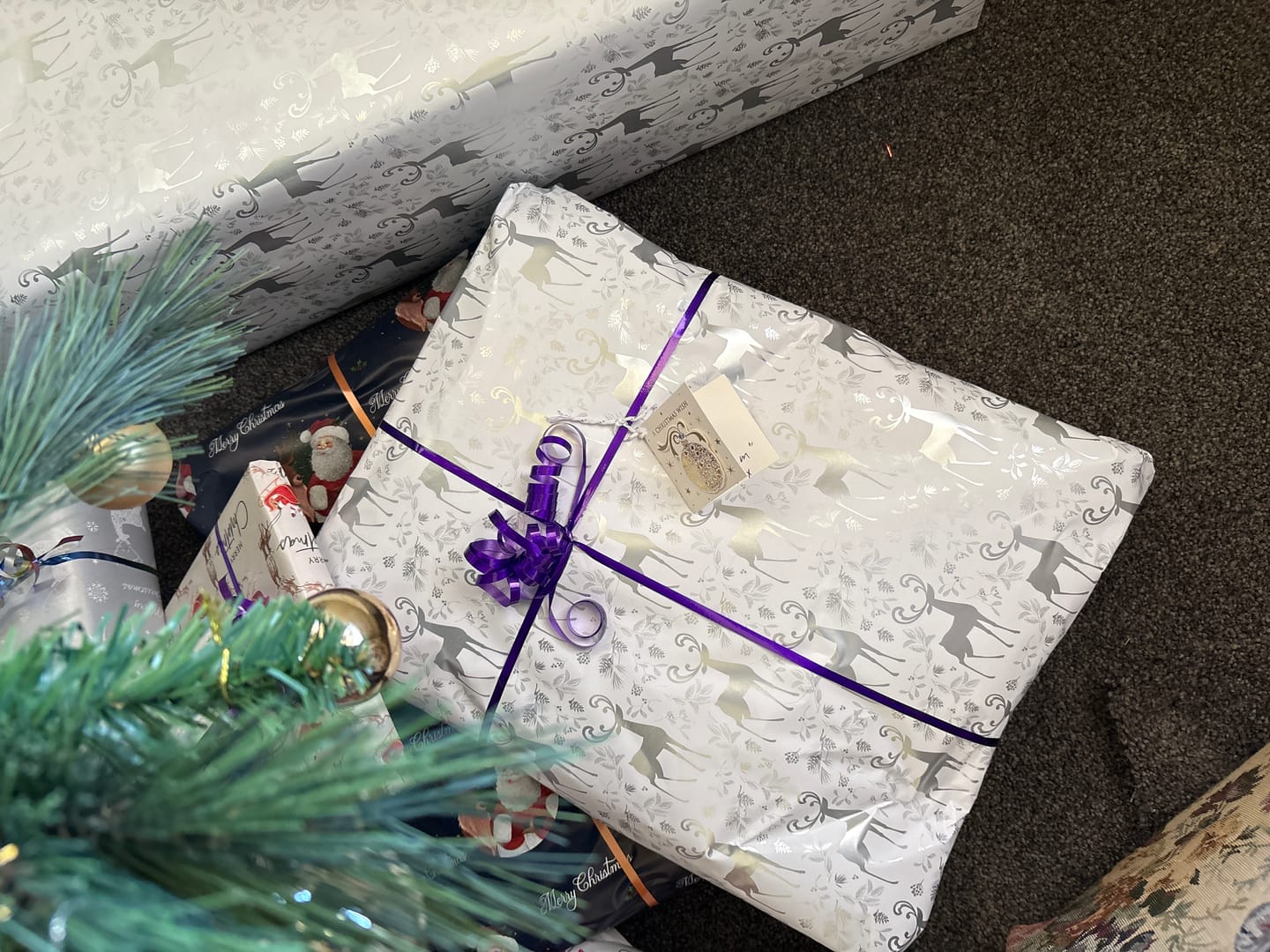 Customer photo review of Shipping Protection