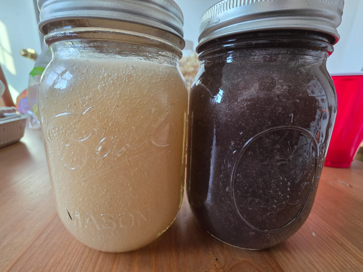 Customer photo review of Thin Sea Moss Gracilaria- from the rocks- Gold- Dr Sebi approved- alkaline
