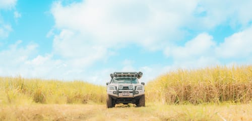 Customer photo review of TIER TWO MEMBERSHIP