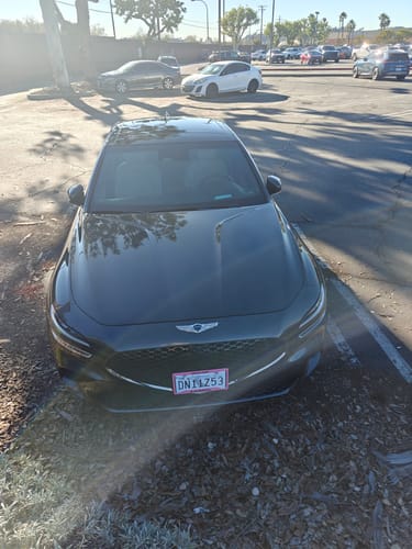 Customer photo review of RUBBIT Electric Plus Trial Kit [s]