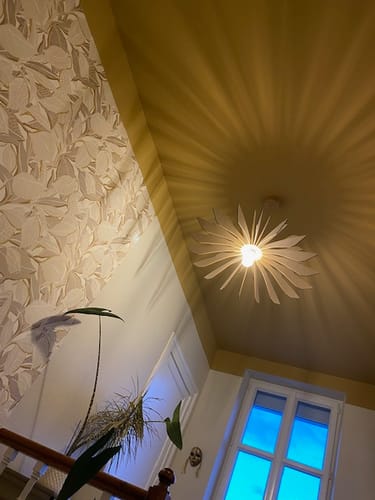 Customer photo review of Ampoule LED 12w