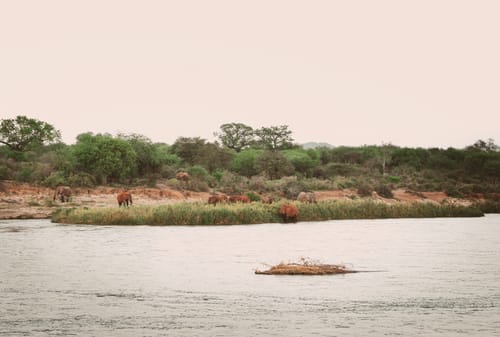 Customer photo review of NORTHBORDERS MINI PACK