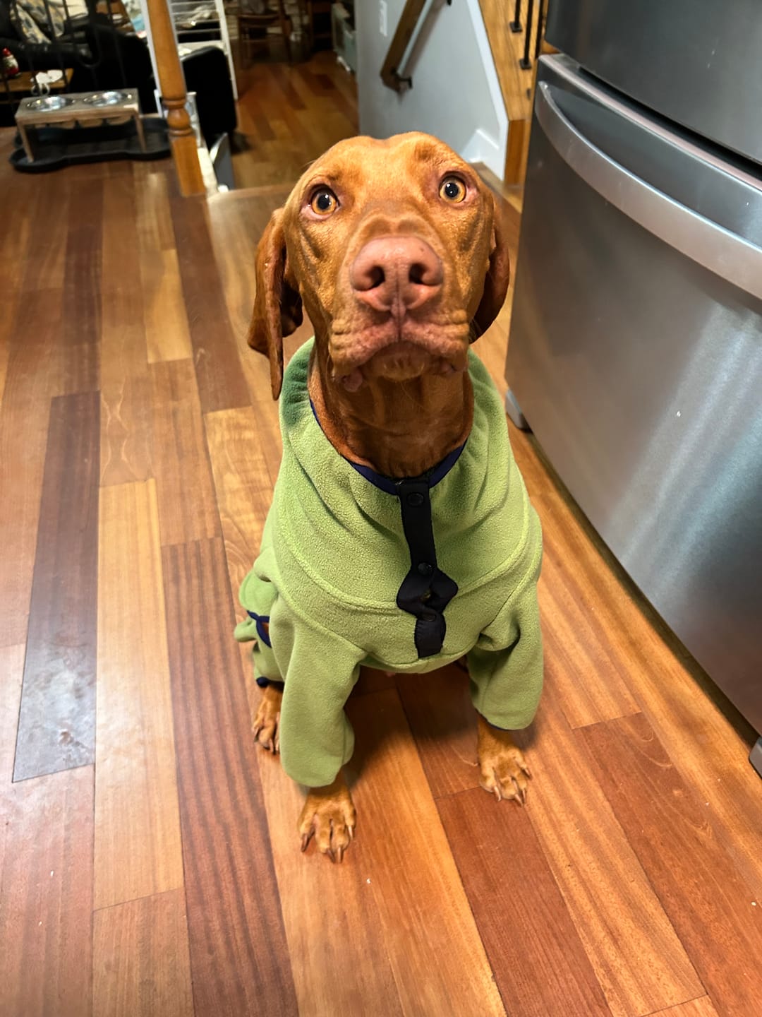 Customer photo review of NEW Fleece Pull-Over