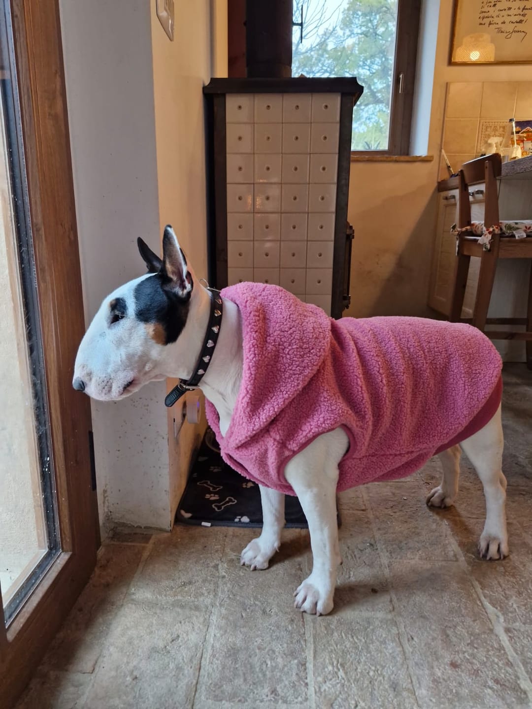 Customer photo review of Teddy Sherpa Dog Jacket - Dark Pink