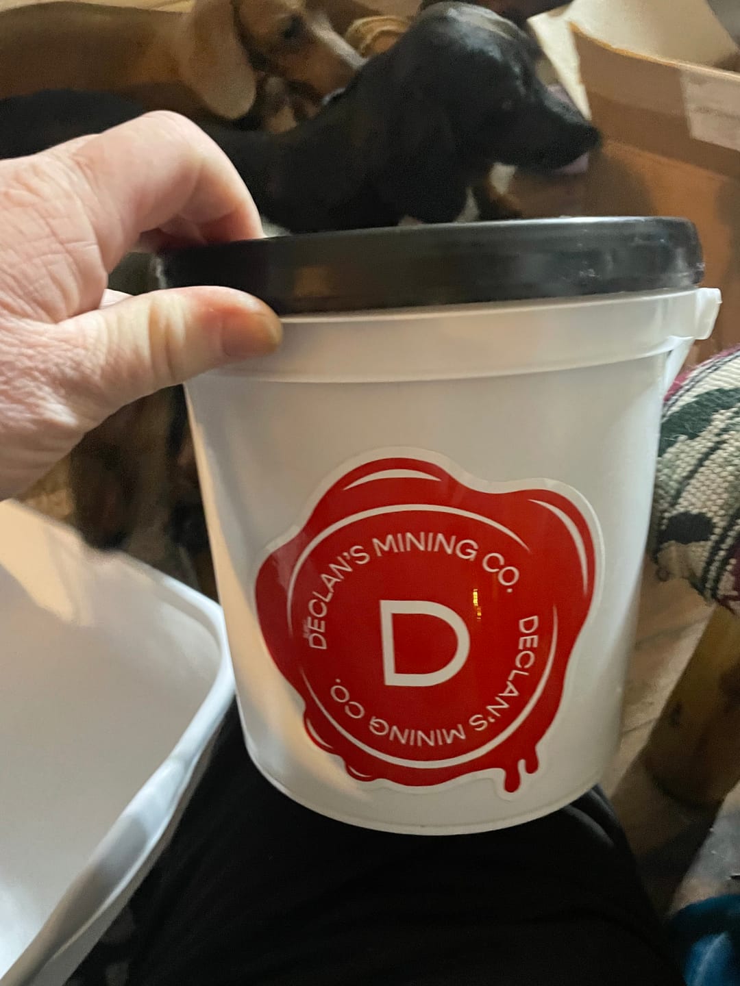 Customer photo review of Declan's Mining Bucket