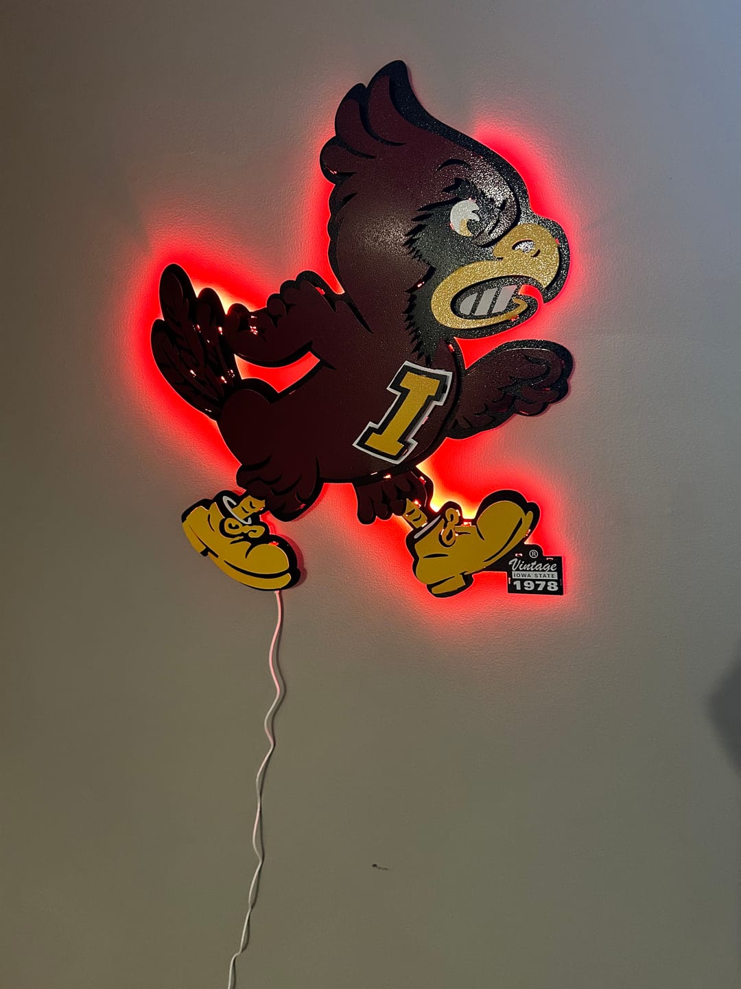 Customer photo review of Iowa State Cyclones VAULT "CY" 3D Vintage Metal Wall Art
