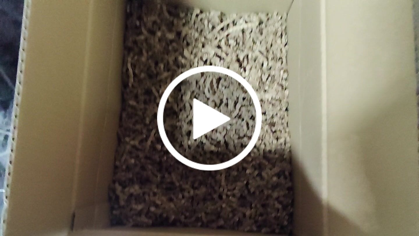 Customer video review of Virutas de relleno kraft de calidad premium