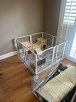 Customer photo review of FXW Pawadise Acrylic & Wire Mesh Indoor Dog Playpen