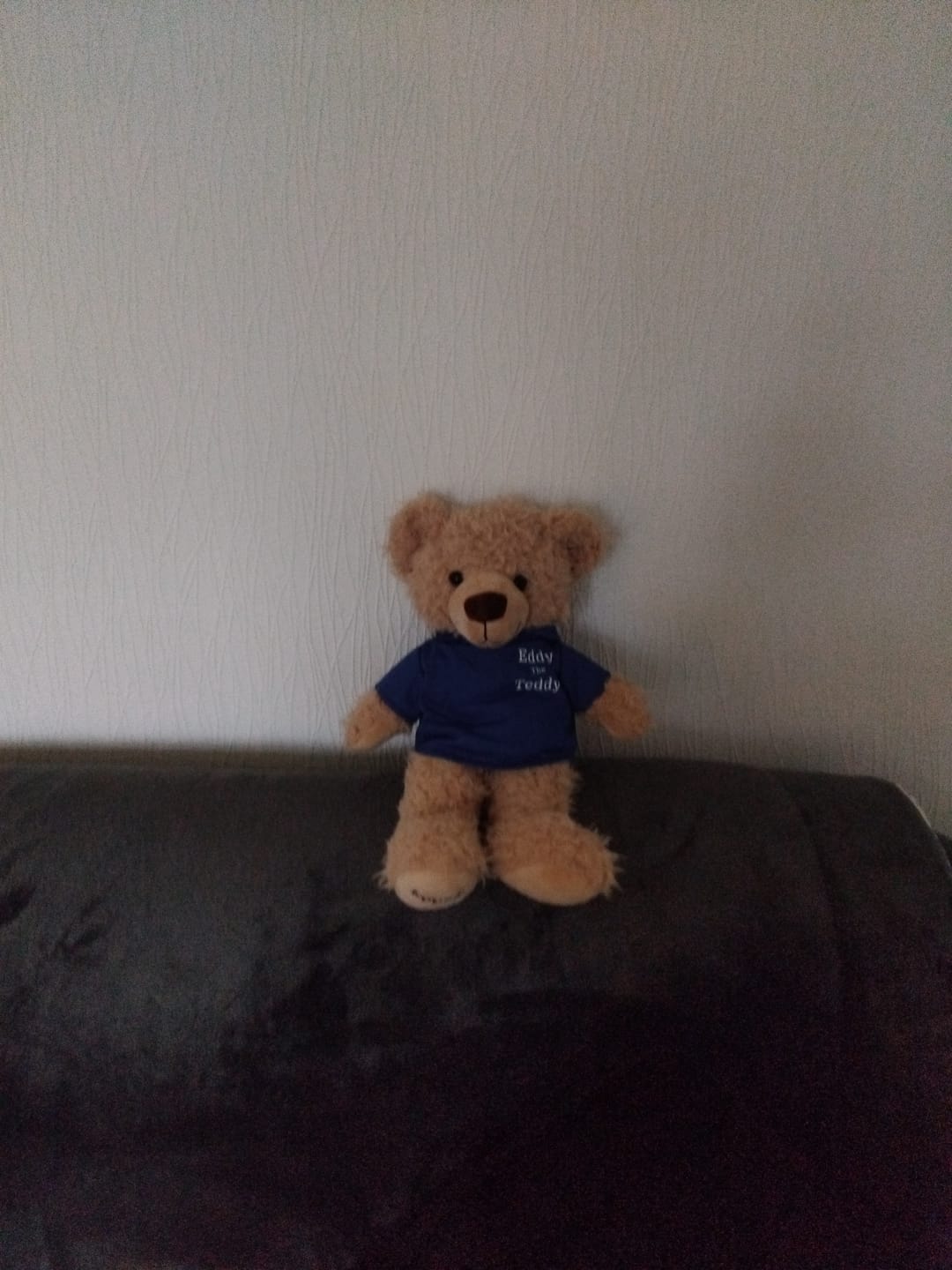 Customer photo review of Eddy The Teddy Bear
