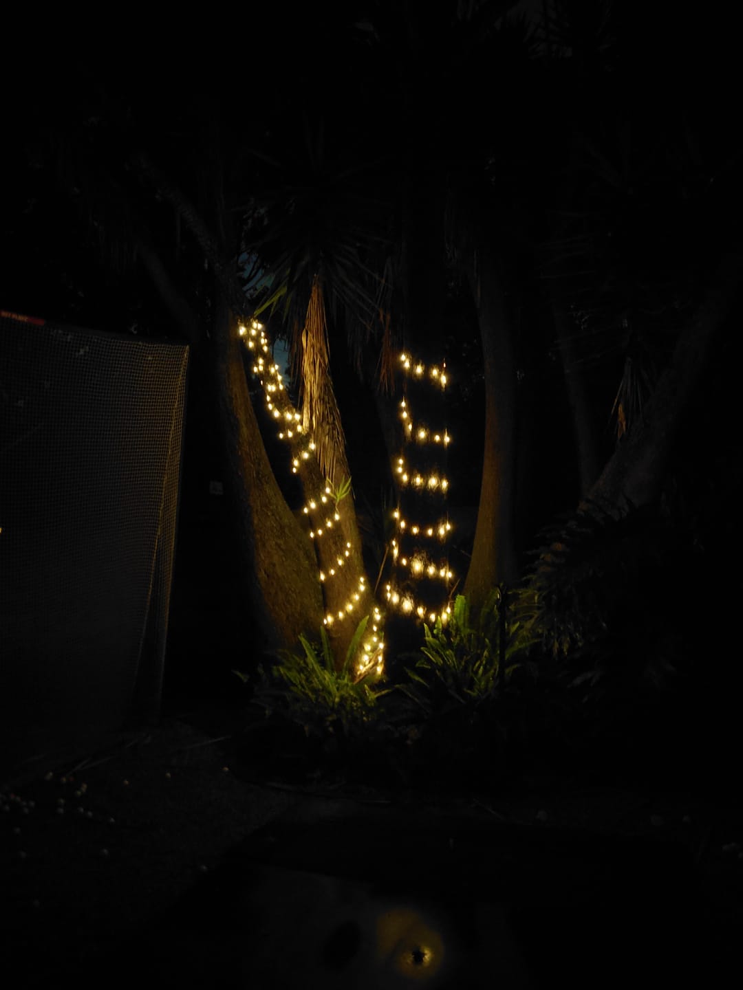 Customer photo review of Copper Wire Solar Fairy Lights