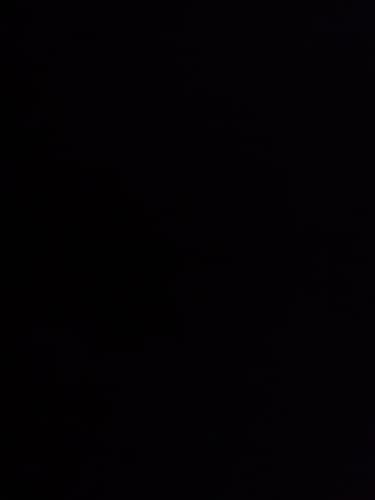 Customer photo review of RENEW & REVIVE PEPTIDE LIP TINT