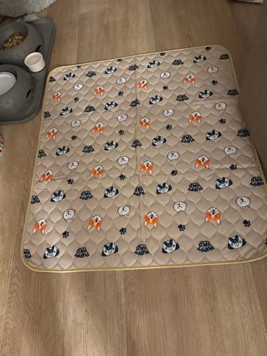Customer photo review of PuppyPad