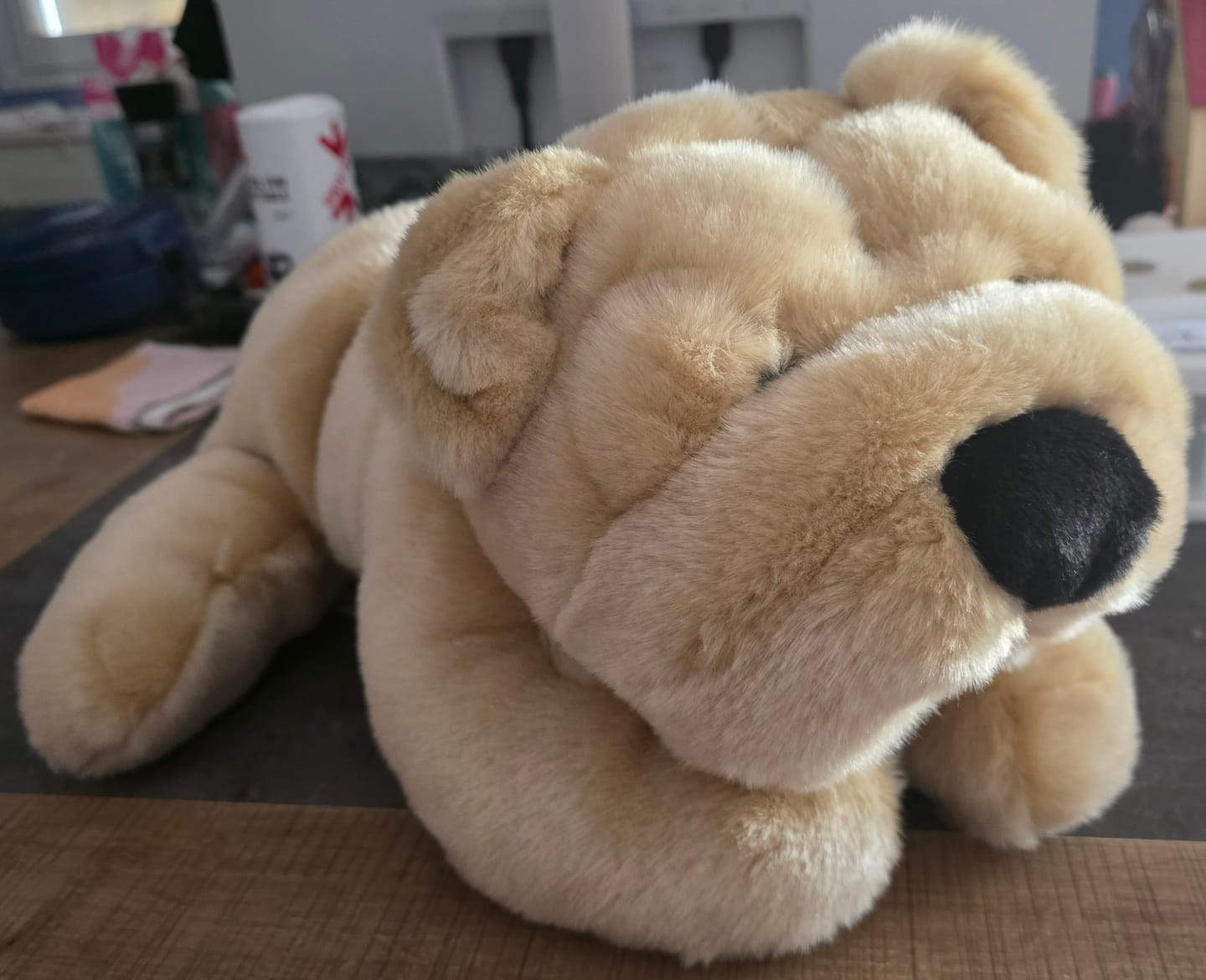 Customer photo review of Ma peluche Chien Hector