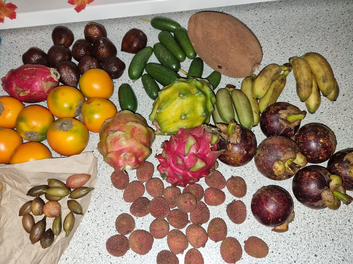 Customer photo review of Drachenfrucht Mix bunt Aktionswoche