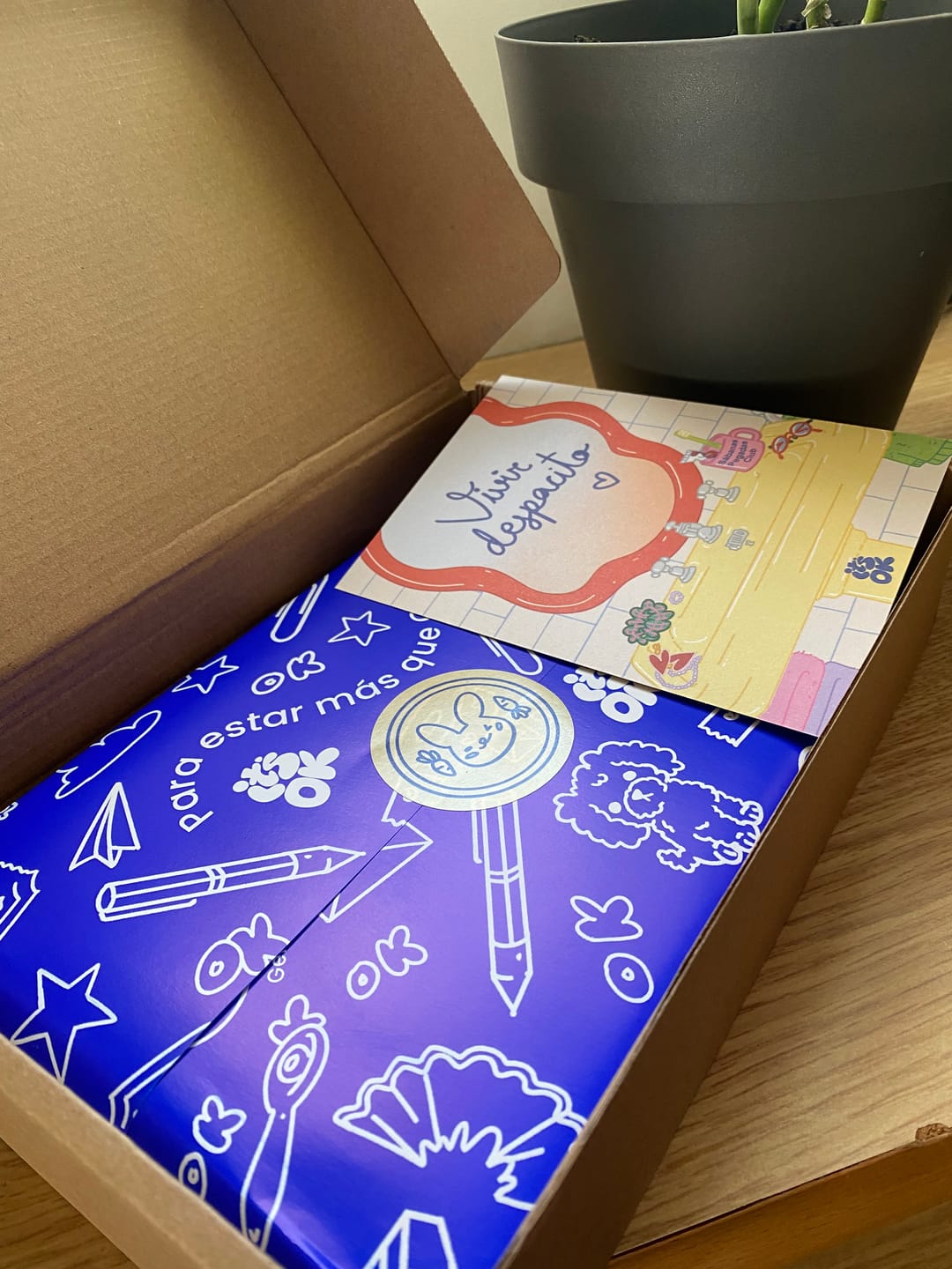 Customer photo review of Feel Good Journal | Portada Picnic