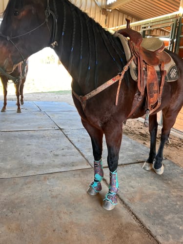 Customer photo review of CANYON CACTUS SPLlNT BOOTS (PAIR)