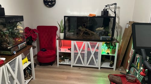 Customer photo review of 120 Gallon Bearded Dragon Enclosure 4x2x2