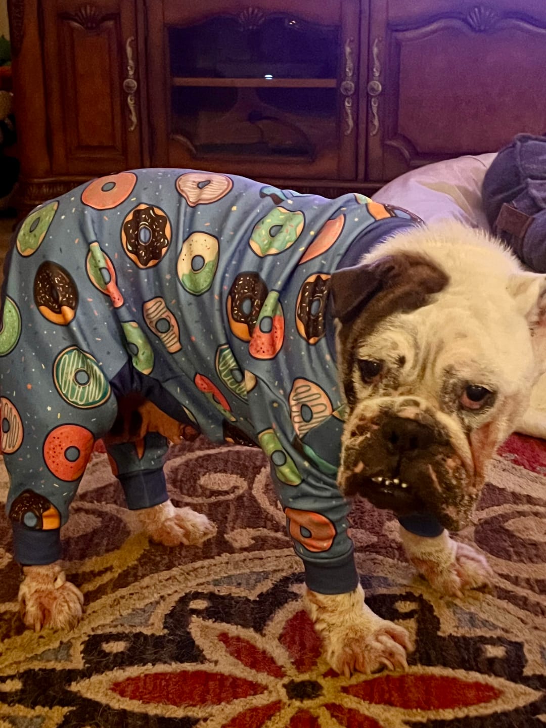 Customer photo review of Dog Pajama - Donuts