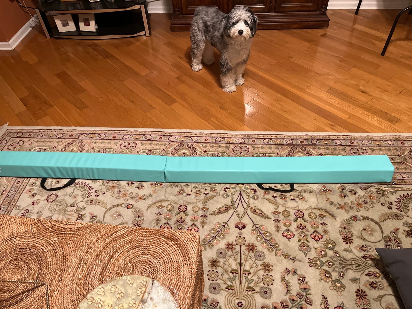 Customer photo review of 8FT Folding Gymnastics Balance Beam for Kids