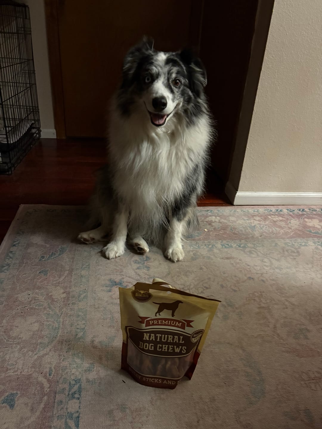 Customer photo review of Bully Bargain Bag