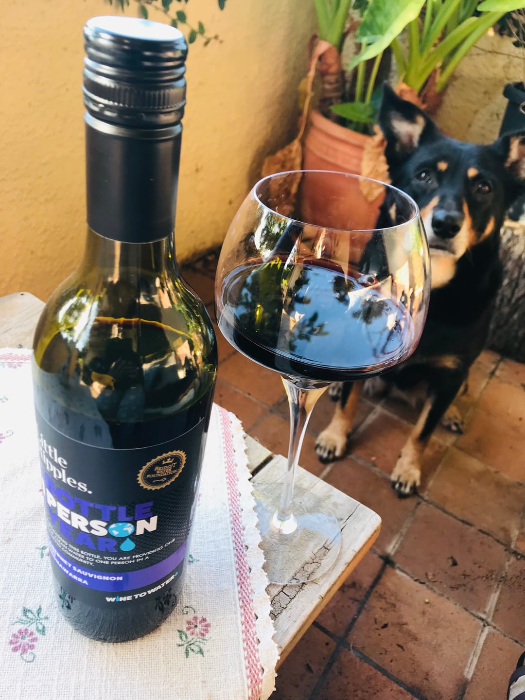 Customer photo review of Cabernet Sauvignon - Single Bottle