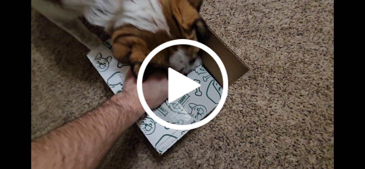 Customer video review of Smoked Pig Snouts