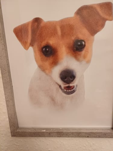 Customer photo review of Charlie's Drawings' Emotional Family Portraits