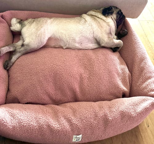 Customer photo review of Divanetto Boucle Teddy Rosa