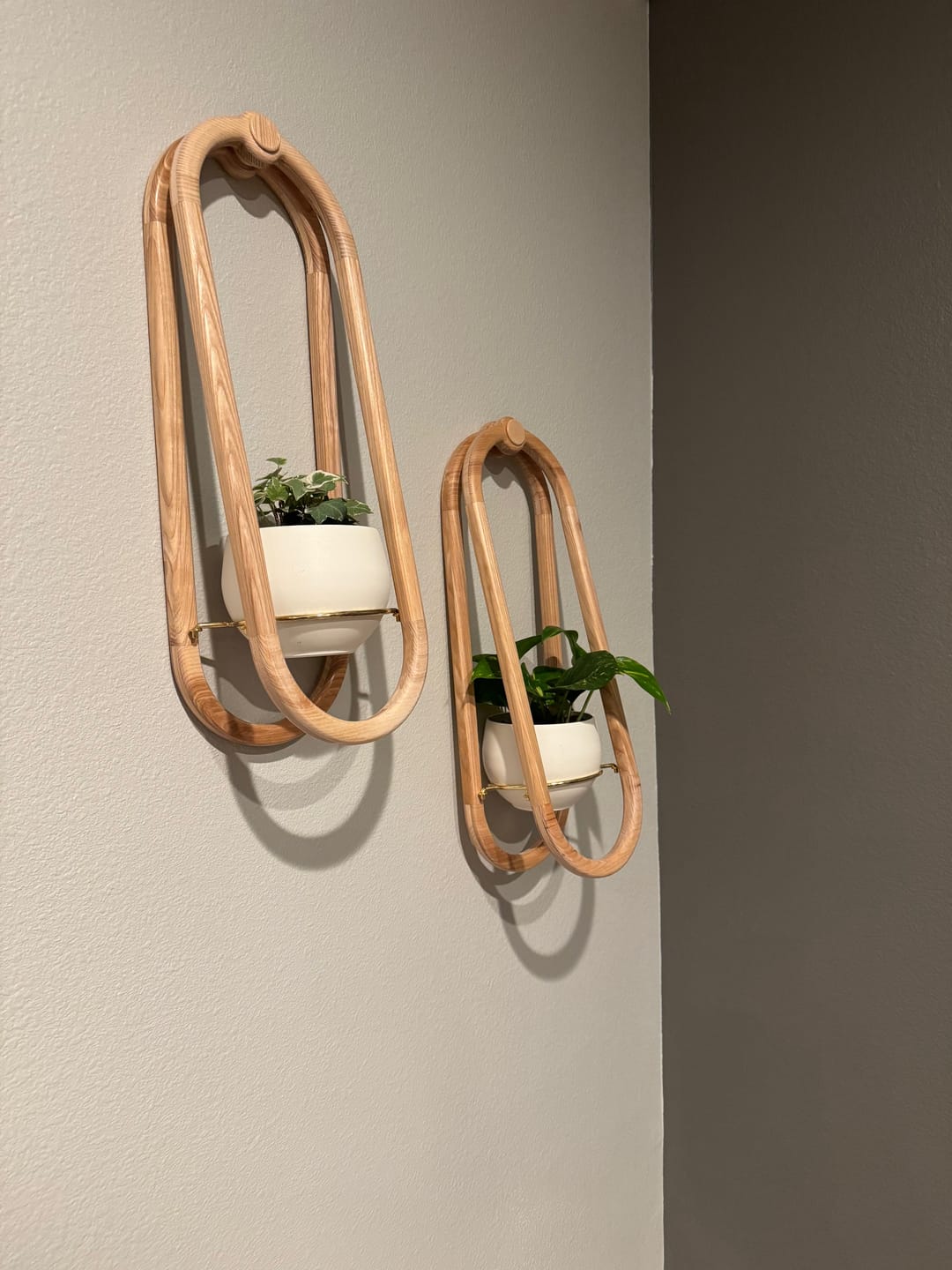 Customer photo review of Frame Wall Planter + Pot Duo