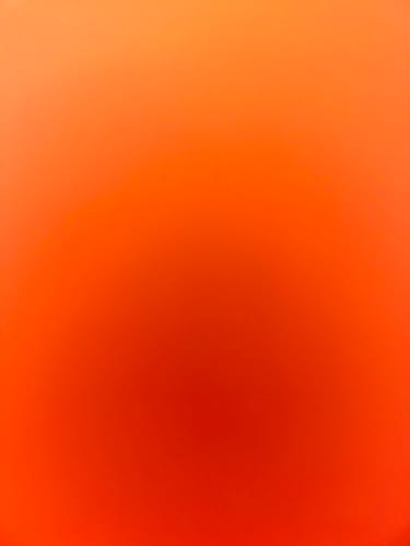 Customer photo review of Halal Collagen Protein