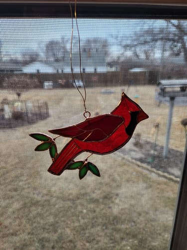 Customer photo review of Stained Glass Suncatcher, Cardinal