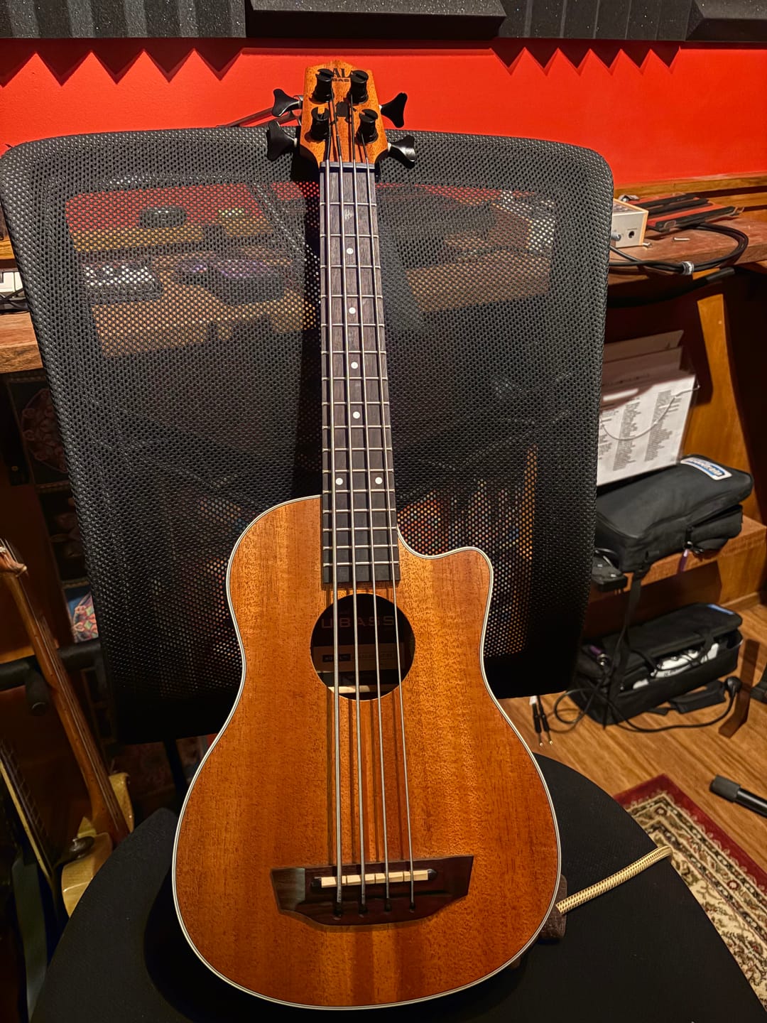 Customer photo review of KA-BASS-4FW Flatwound UBass Strings from Kala / Gallistrings