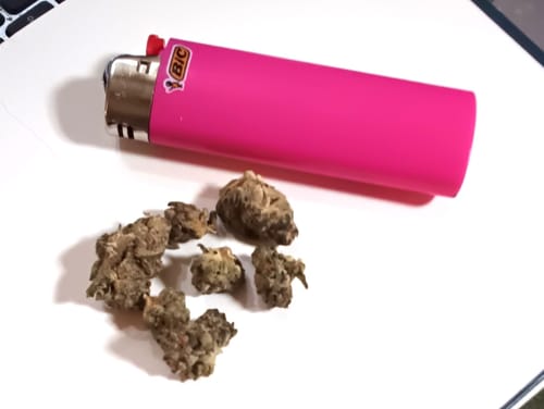 Customer photo review of Gold Spectrum THCA Flower - Top Quality Strain of the Month