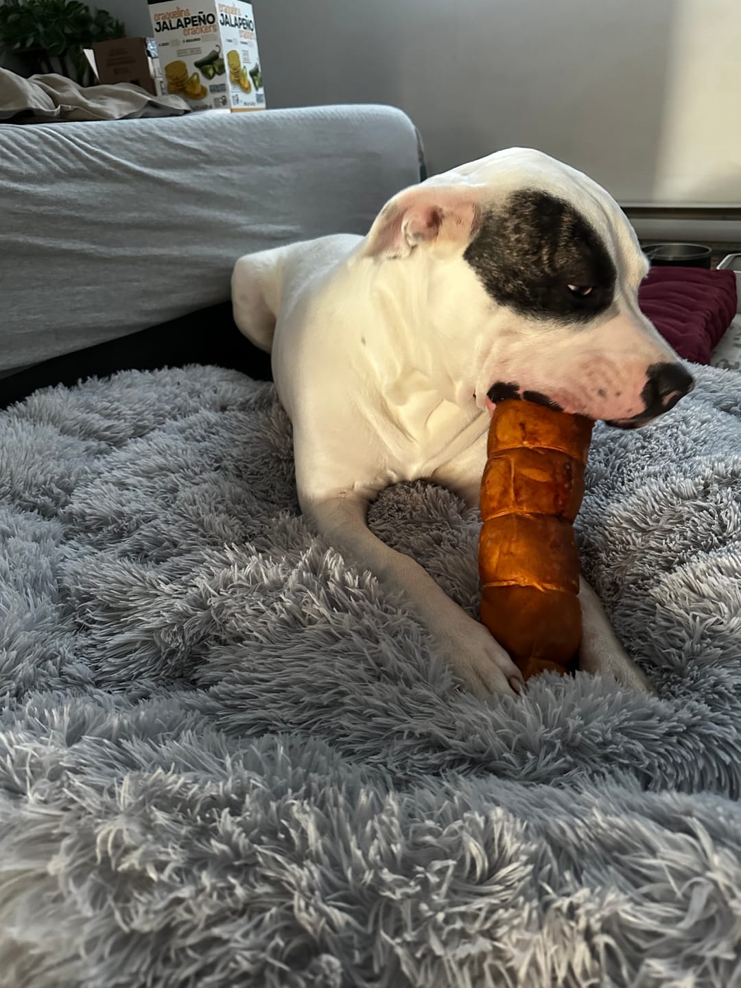 Customer photo review of 10-12 Inch Peanut Butter Cheek Roll