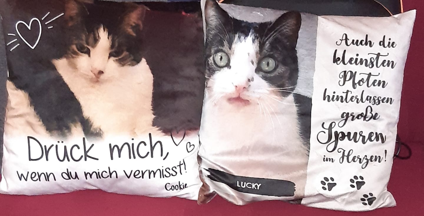 Customer photo review of Die kleinsten Pfoten - Individuelles Kissen