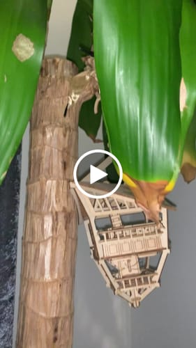 Customer video review of Sky Lodge