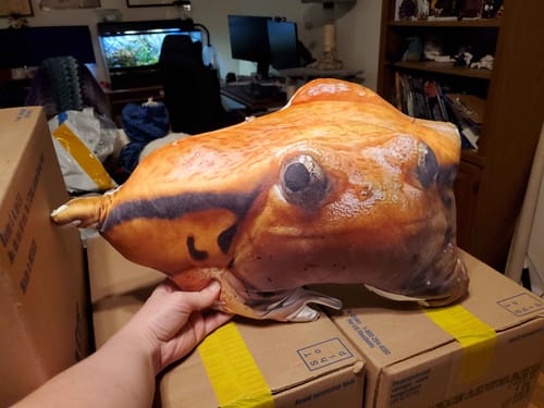 Customer photo review of Custom Pet Pillow