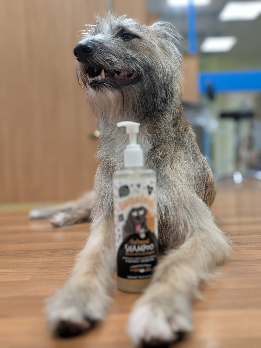 Customer photo review of Oatmeal Dog Shampoo with Coconut & Lime Fragrance