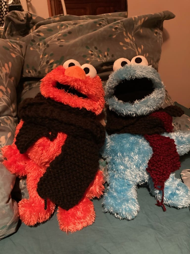 Customer photo review of Cookie Monster Marionnette Sesame Street