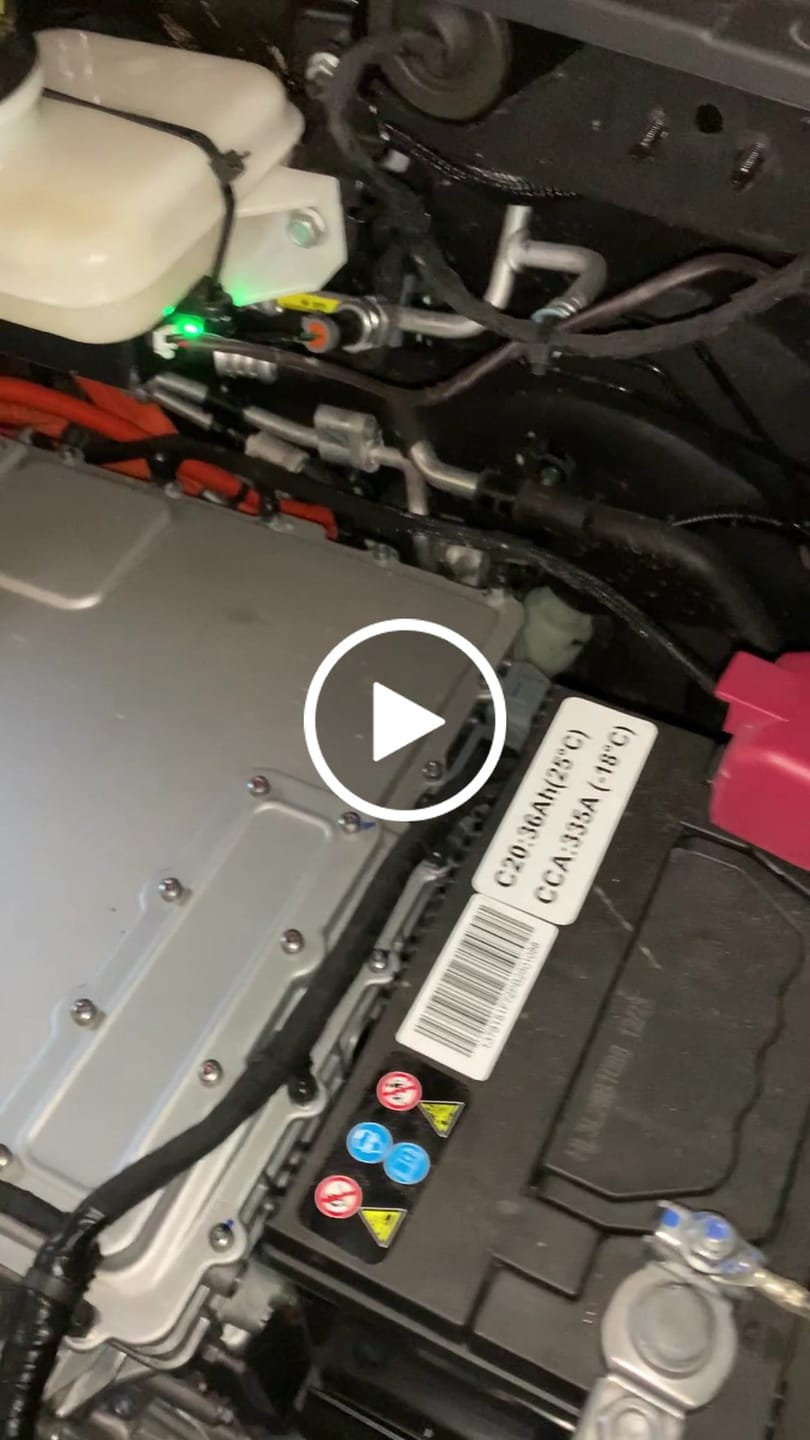 Customer video review of Marterverjager Muizenverjager Auto op Accu
