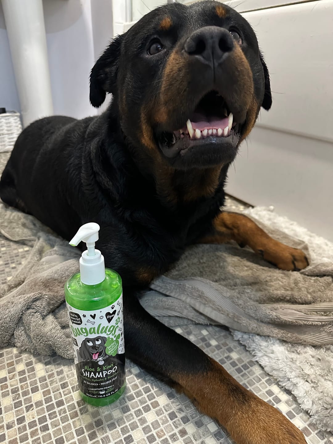 Customer photo review of Aloe & Kiwi Soothing Dog Shampoo