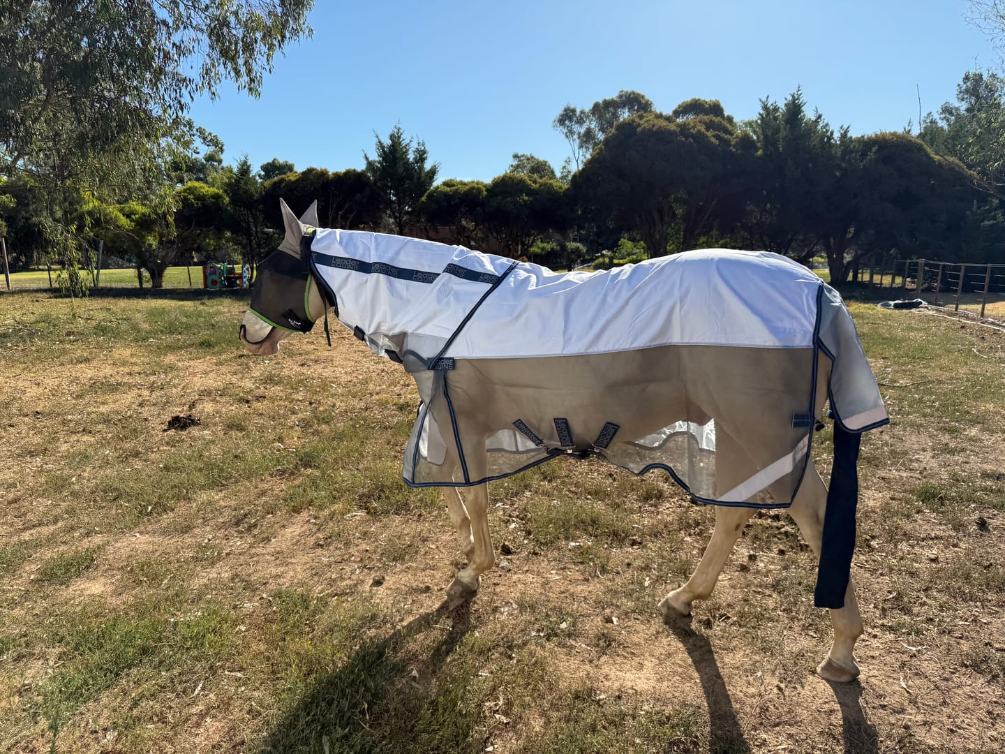 Customer photo review of LE Breeze Summer Sheet with Fieldsafe Front