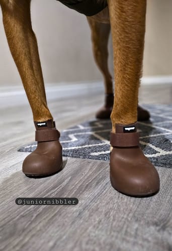 Customer photo review of WagWellies® by wagwear