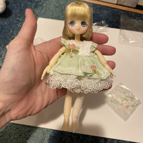 Customer photo review of Wild Rose 1/12 BJD Clothes