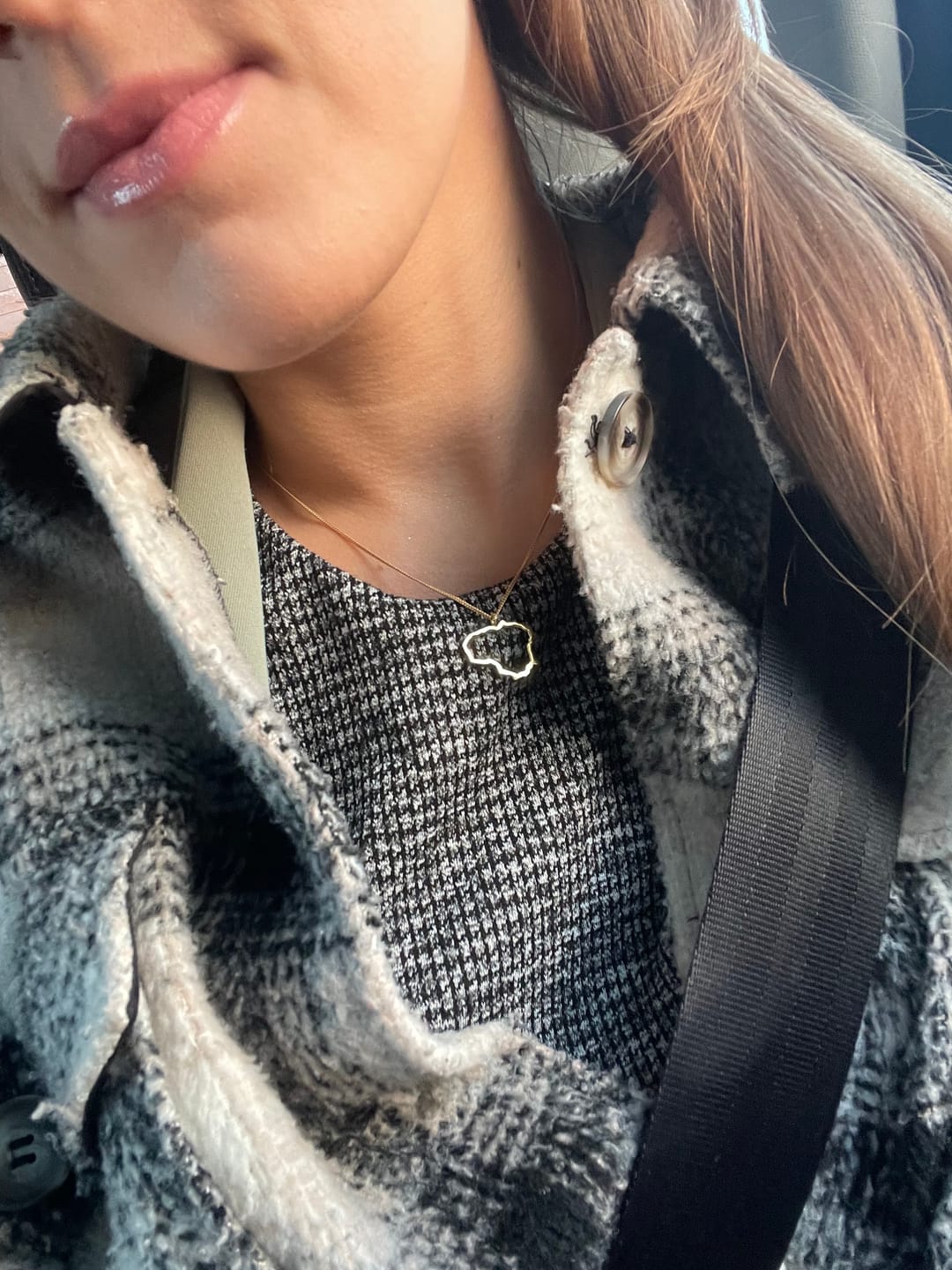 Customer photo review of Paauksuotas Sidabrinis pakabukas "Lietuva"